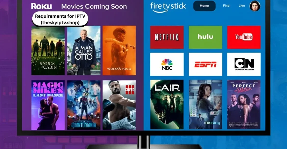 IPTV requirements theskyiptv.shop