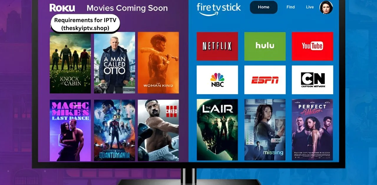 IPTV requirements theskyiptv.shop